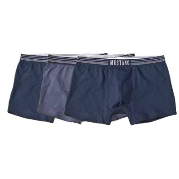 4046-1003-560 Mustang  Boxer