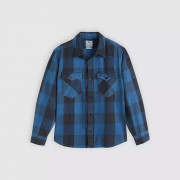 A1919-0069 Levis ing