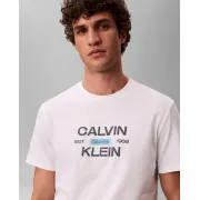LV04RG805GYAF Calvin Klein póló