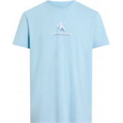 product-calvin_klein-Calvin Klein póló-j30j327469cbr