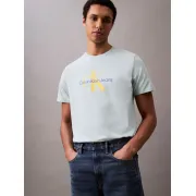 lv040em286pct Calvin Klein póló